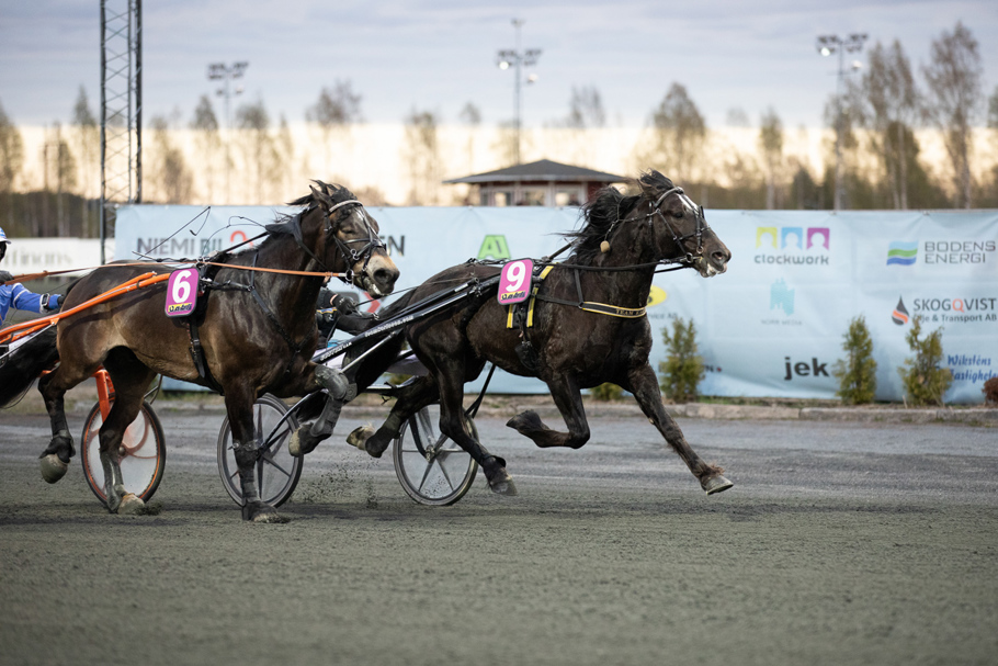 Foto: Britt Lindgren